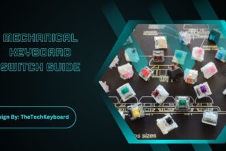 Mechanical Keyboard Switch Guide