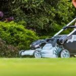 Sea Breeze Lawn Care