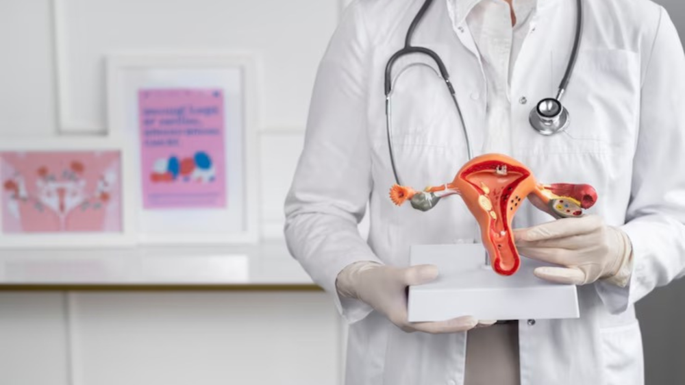 IVF Helps Women