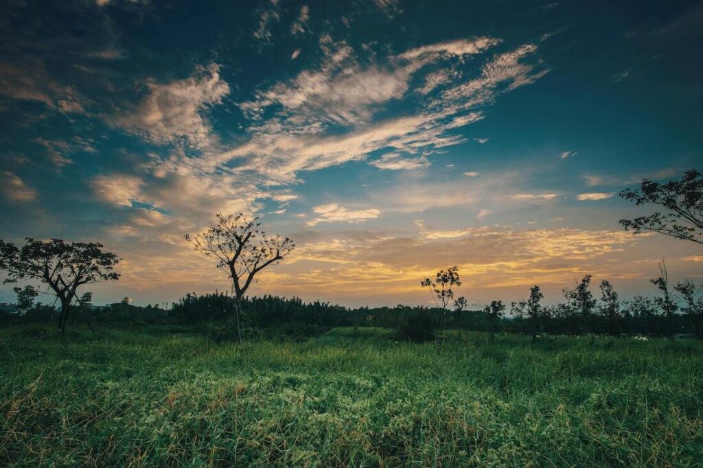 Where Nature Meets Ancient Wisdom: The Vaidyagrama Experience