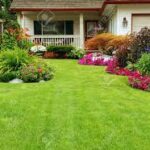 Healthy Lawns, Happy Homes: Discover the Benefits of Sea Breeze Lawn Care